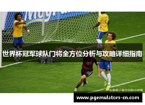 世界杯冠军球队门将全方位分析与攻略详细指南