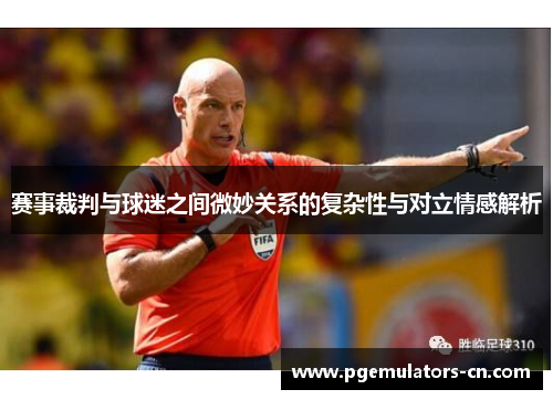 赛事裁判与球迷之间微妙关系的复杂性与对立情感解析