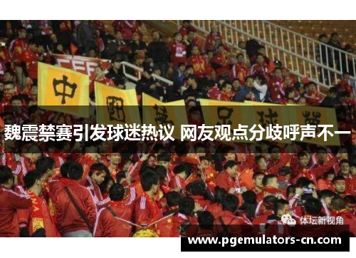 魏震禁赛引发球迷热议 网友观点分歧呼声不一