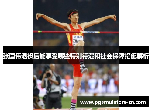 张国伟退役后能享受哪些特别待遇和社会保障措施解析 张国伟退役后能享受哪些特别待遇和社会保障措施解析