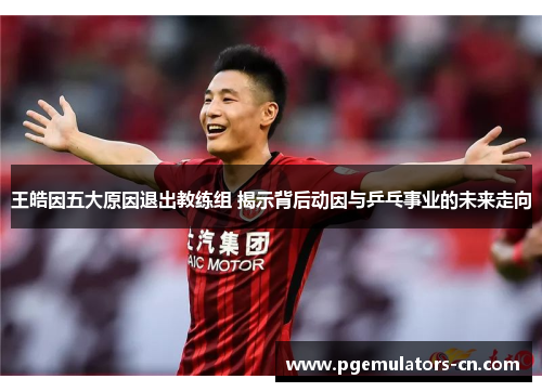 王皓因五大原因退出教练组 揭示背后动因与乒乓事业的未来走向 王皓因五大原因退出教练组 揭示背后动因与乒乓事业的未来走向