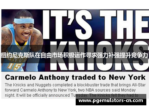 纽约尼克斯队在自由市场积极运作寻求强力补强提升竞争力 纽约尼克斯队在自由市场积极运作寻求强力补强提升竞争力