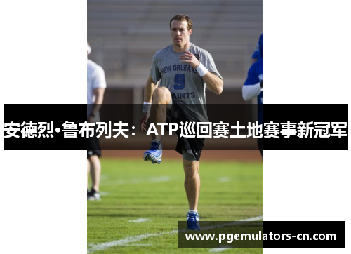 安德烈·鲁布列夫:ATP巡回赛土地赛事新冠军 安德烈·鲁布列夫:ATP巡回赛土地赛事新冠军