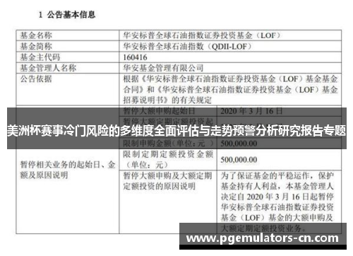 美洲杯赛事冷门风险的多维度全面评估与走势预警分析研究报告专题 美洲杯赛事冷门风险的多维度全面评估与走势预警分析研究报告专题