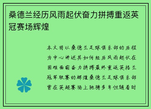 桑德兰经历风雨起伏奋力拼搏重返英冠赛场辉煌 桑德兰经历风雨起伏奋力拼搏重返英冠赛场辉煌